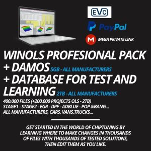 🚀 WINOLS PRO LEARNING PACK - 2TB + 5GB DAMOS 📂